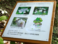 癒しの森にて