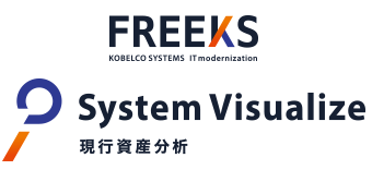 FREEKS System Visualize 現行資産分析