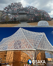 img_20250901_07.png