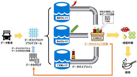 データファブリックの例