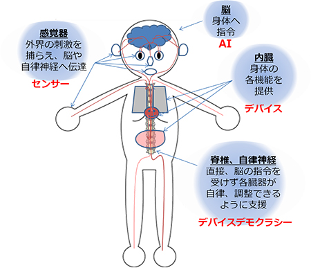 人体とデバイスデモクラシー