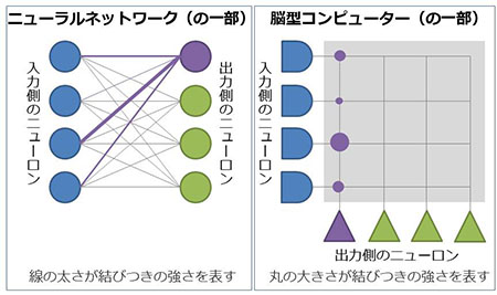 ニューラルネットワークと脳型コンピューター