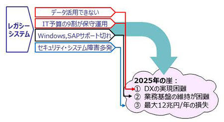 「2025年の崖」とその理由（解釈）