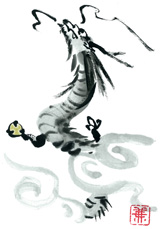 辰年