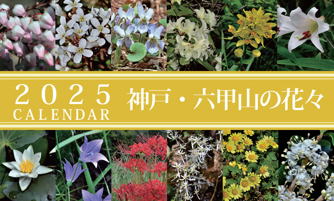 神戸六甲山花カレンダー2025