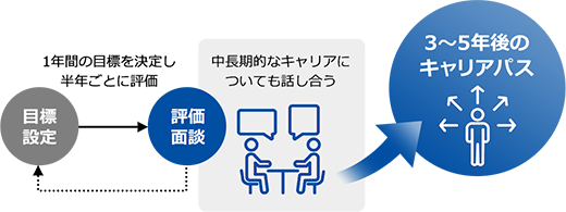 1年間の目標を決定し半年ごとの評価 中期的なキャリアについても話し合う 3〜5年後のキャリアパス