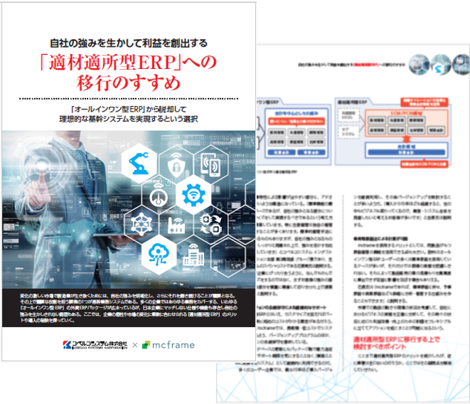 「適材適所型」ERPへの移行のすすめ ダウンロード資料のサンプル画像