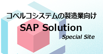 ［Special Site］SAP Solution