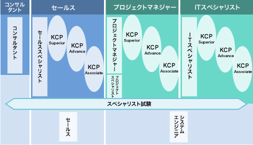 プロフェッショナルの育成と専門性の追求、複線型プロフェッショナル職制度